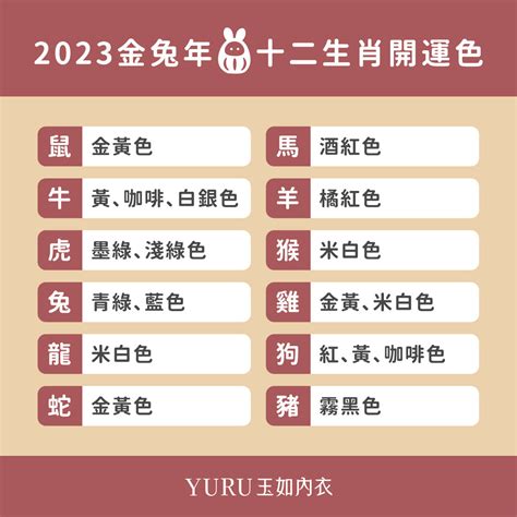 2023幸運色五行顏色|2023兔年十二生肖幸運色公開！日本命理師揭密3顏色。